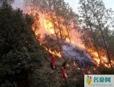 凉山明火全部扑灭 凉山林火爆燃发生了什么事导致30人遇难