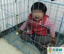 将女童关笼中摆拍 未满一岁女童被关笼里沦为父亲报复工具
