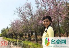 安心亚遇到挫折就会喊话不当演员 但接到剧本立刻开工