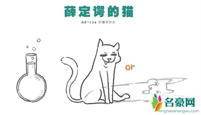 薛定谔的猫是什么梗