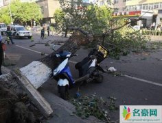 北京大风砸中人 北京大风砸中外卖小哥现场视频曝光不幸身亡