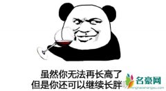 9012年是什么意思 9012年是什么梗怎么流行火起来的