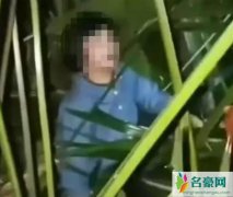 4岁双胞胎17楼坠落皆生还 双胞胎福气大到令邻居都叹为观止