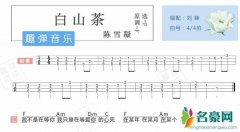 白山茶为什么下架观察植物英语 白山茶歌曲怎么被被封了