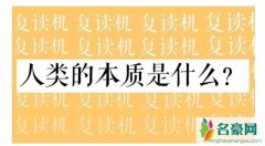 人类的本质是鸽子还是复读机 人类的本质是什么意思