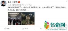 实力派王庆祥微博好学宝宝 蹲虹桥一姐一小时