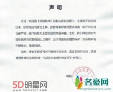 小鲜肉不敬业用替身 宋佳评论引猜测
