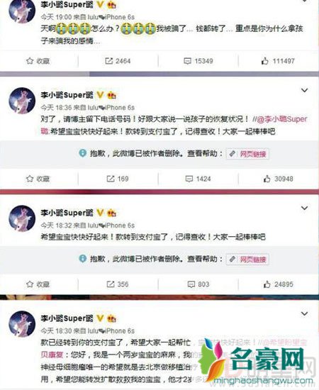 李小璐被诈骗后迅速破案 诈捐人被判三年九个月