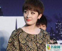 曾轶可工作行程或将被暂停 曾轶可爆粗辱骂民警会导致封杀吗