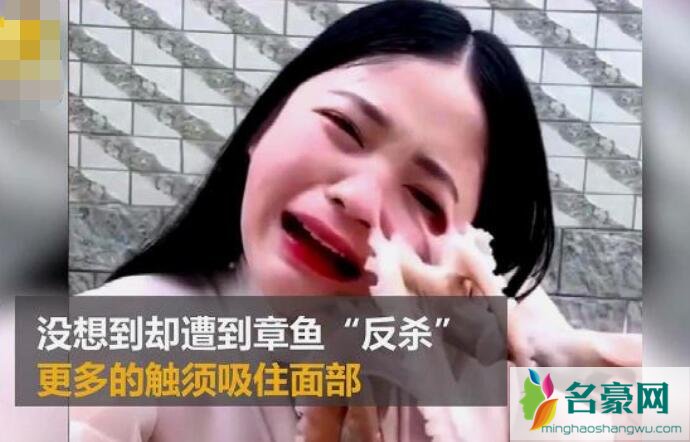 被章鱼反杀的主播怎样了