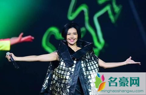 孙燕姿重庆巡演昏倒 孙燕姿尴尬时刻图片