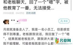 聊天回嗯被批评是怎么回事 网友评论一边倒力挺BOOS