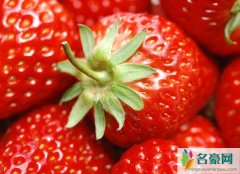 日本一颗草莓900 天价草莓竟被中国任性买家拍下回家观赏