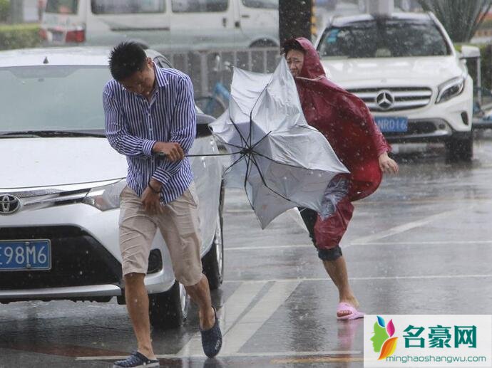 台风韦帕路线