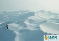 沙漠变“雪海” 40年难遇的神奇景观令网友大开眼界