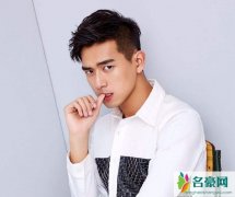 李现12厘米梗什么意思 揭露疑似李现飞机是什么梗背后含义曝光