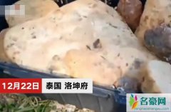 捡石头价值近百万 男子随意捡的破石头竟价值不菲令网友羡慕