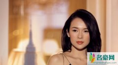 章子怡二胎是男孩还是女孩 章子怡肚子微隆疑怀二胎几个月了？