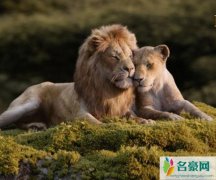 张学友碧昂丝对唱 中国歌神与碧神破天荒合体网友直呼神仙唱歌