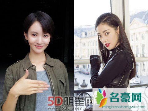 张天爱抢金晨女一号 金晨发微博称“闻君好之，请罢！”