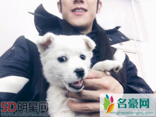 曝李治廷剧组小狗被撞 未能引起网友同情