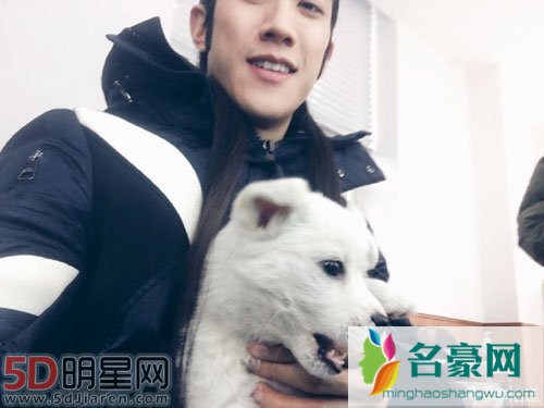 曝李治廷剧组小狗被撞 未能引起网友同情