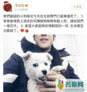 曝李治廷剧组小狗被撞 未能引起网友同情