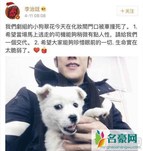 曝李治廷剧组小狗被撞 未能引起网友同情