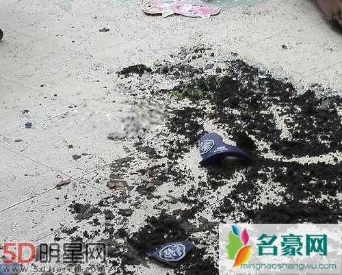 张纪中怒砸樊馨蔓住宅 双方冲突现场混乱