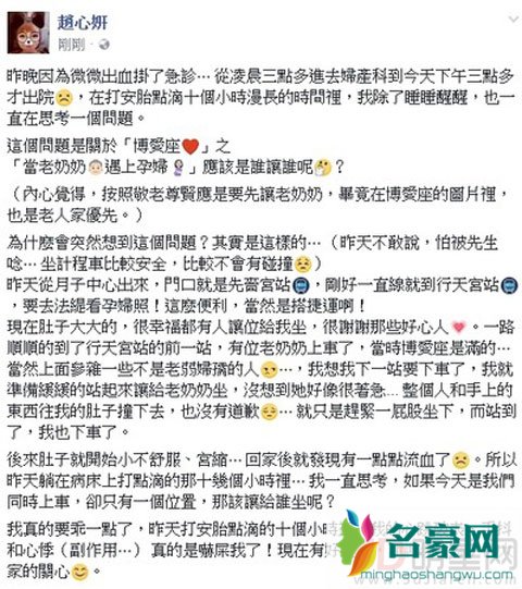 台湾美女书法家赵心姸让座反被撞 八个月微出血被吓坏