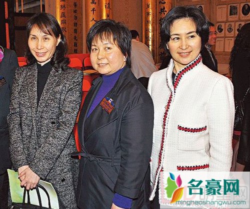 赌王千金何超凤离婚 何超凤丈夫是谁