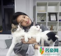 高圆圆网上炫猫 网友再次催生高圆圆