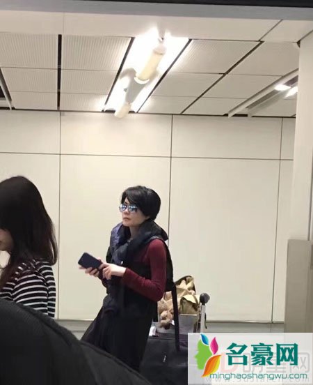 网友机场偶遇谢霆锋王菲 连吻两次公开秀恩爱