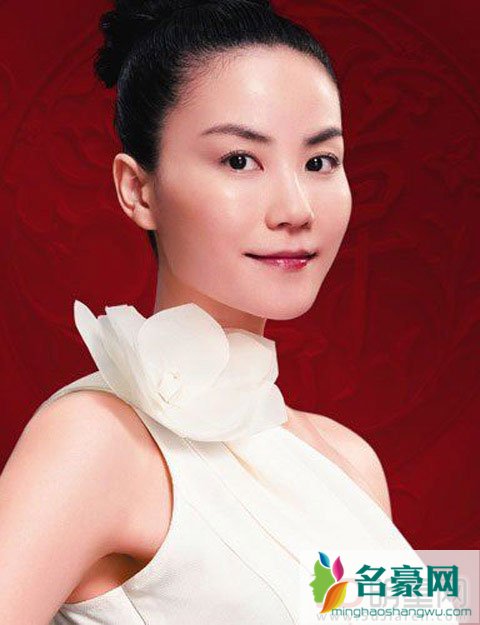 娱乐圈实力女演员不整容 王菲不整容有实力