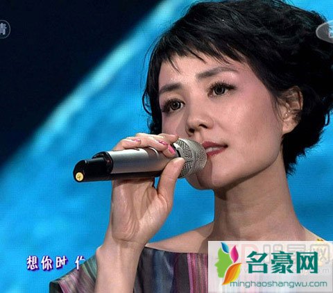 娱乐圈实力女演员不整容 王菲不整容有实力
