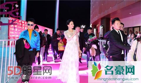 刘嘉玲粉丝被保镖不慎推到 刘嘉玲上前温柔扶起