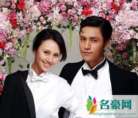 何琳和陈坤结婚了吗 何琳陈坤的结婚照片