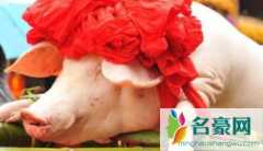 过年杀猪一般什么日子2022 农村杀猪过年的讲究