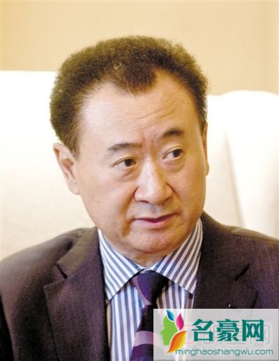 首富王健林胃口越来越大 让中国标准成为世界标准