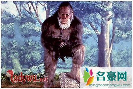 世界奇异生物_世界奇异生物未解之谜_世间奇异生物