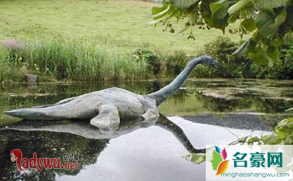 世界奇异生物_世间奇异生物_世界奇异生物未解之谜