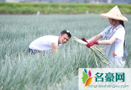 舒淇婚后现身综艺节目 和谢霆锋携手开启《十二道锋味》