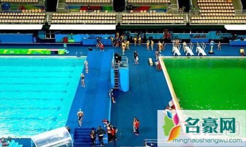 马蓉给王宝强扣的绿帽子太实在了 奥运会的水池都变绿了