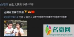 杨威陆毅疑似不合 杨威毫不客气的指出贝儿不够漂亮