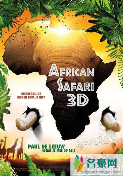 狂野非洲海报