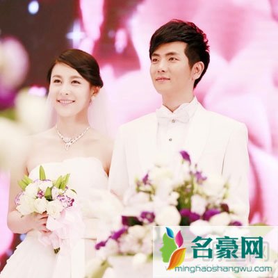 张晓龙老婆是贾青吗 张晓龙贾青吻戏视频照片及结婚照