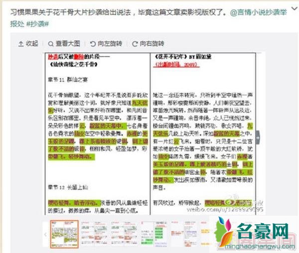 花千骨抄袭那些小说 花千骨抄袭空之境界花开不记年是真的吗