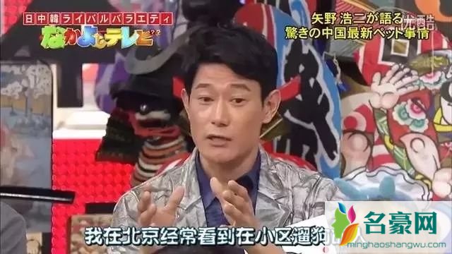 矢野浩二致歉是为什么 矢野浩二中国老婆是谁