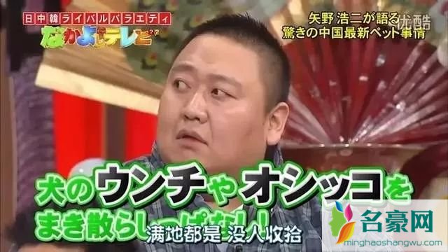 矢野浩二致歉是为什么 矢野浩二中国老婆是谁