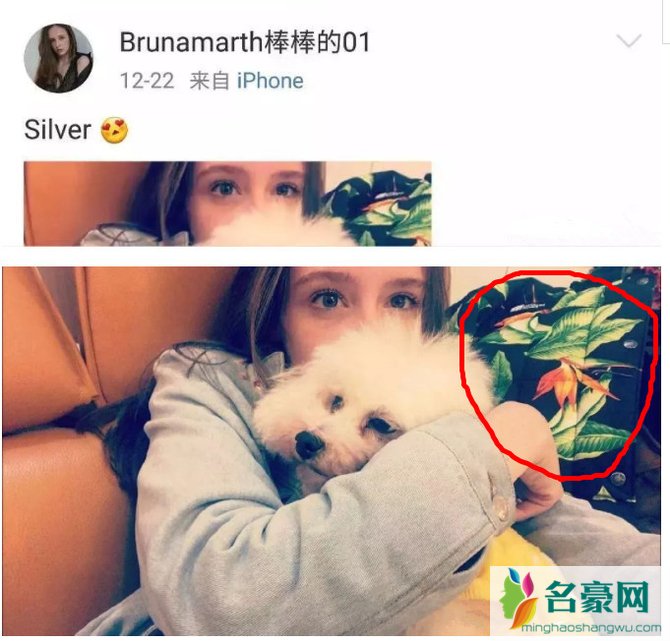 陈伟霆恋情坐实 巴西模特Bruna个人资料及性感照